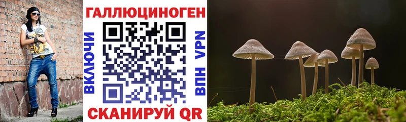 Галлюциногенные грибы Psilocybe  гидра ссылки  Кисловодск 