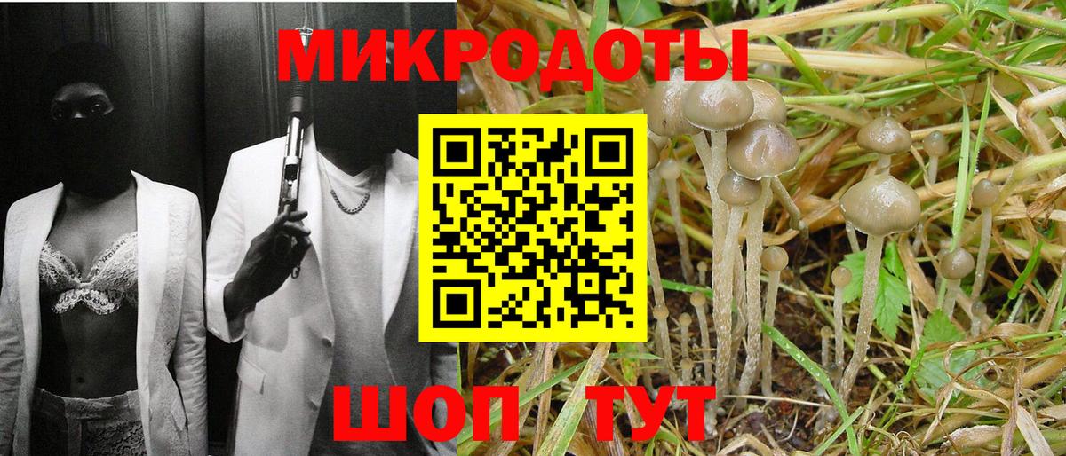 где купить наркоту  Псилоцибиновые грибы прущие грибы  Вход с VPN  Кисловодск 
