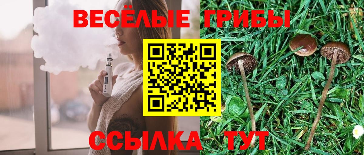 Галлюциногенные грибы Psilocybine cubensis  наркотики  Кисловодск 