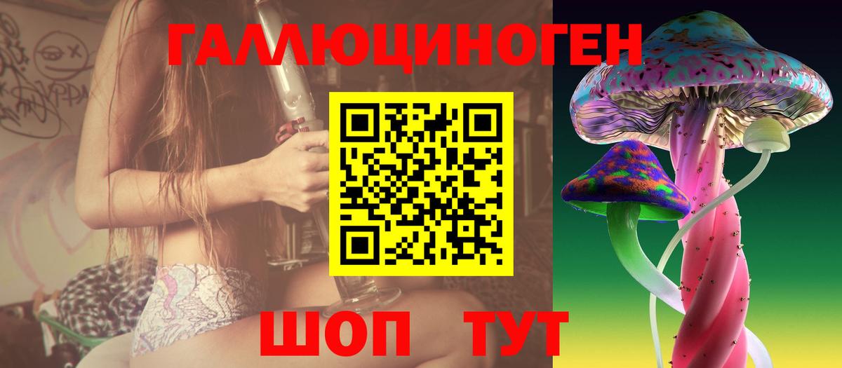 Псилоцибиновые грибы Psilocybine cubensis Кисловодск