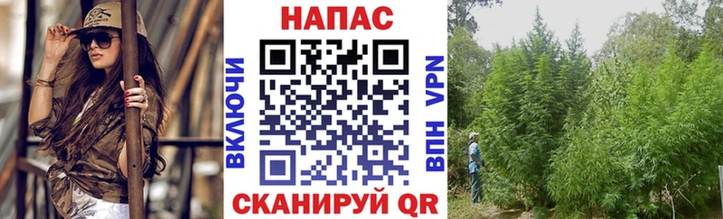 даркнет сайт  shop наркотические препараты  Конопля MAZAR  Кисловодск  mega зеркало 